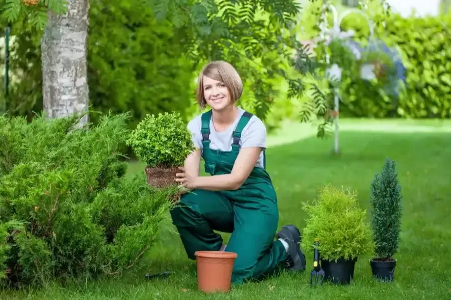 How Landscaping Services Can Enhance Your Lawns Irrigation System Atlantic Beach, FL