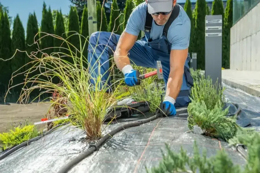 How Landscaping Services Work In Tandem With Lawn Sprinkler Systems in Atlantic Beach, FL