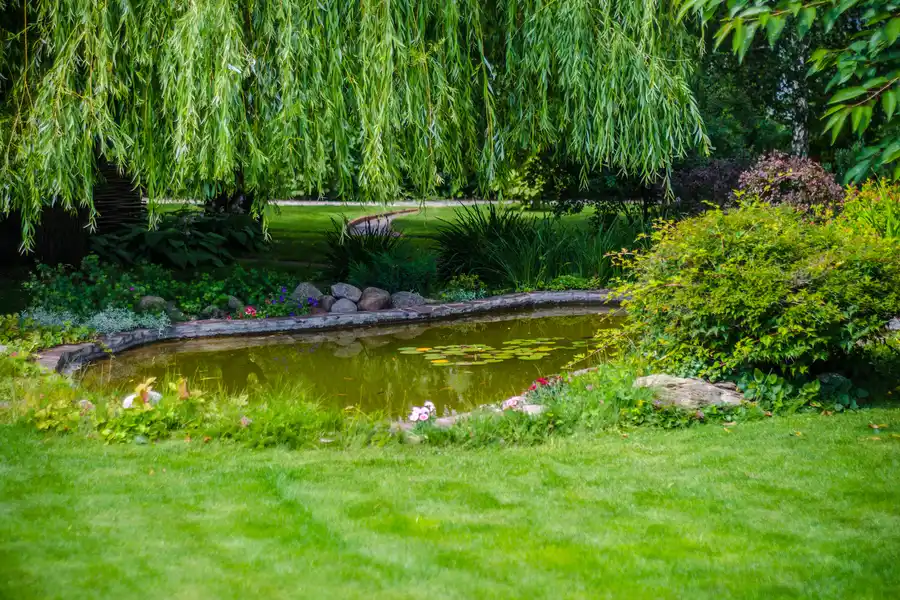 How River Rock Landscaping Helps with Irrigation and Water Flow in Atlantic Beach, FL