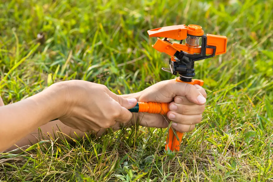 Understanding The Different Types Of Irrigation Systems Available in Atlantic Beach, FL