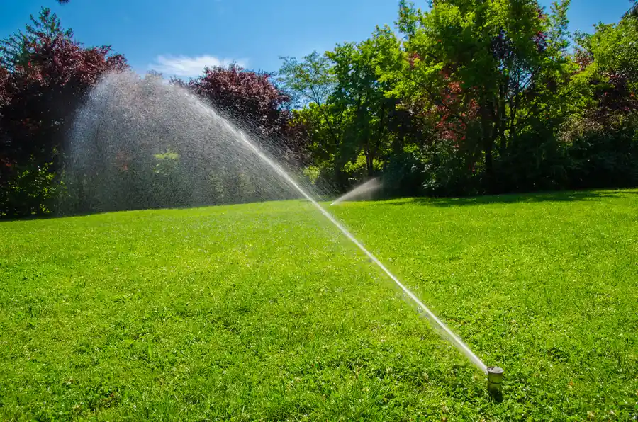 Why Timely Irrigation System Installation Prevents Lawn Damage in Atlantic Beach, FL